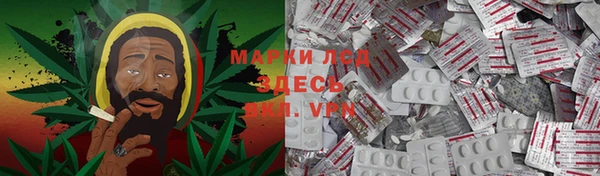 стафф Аркадак