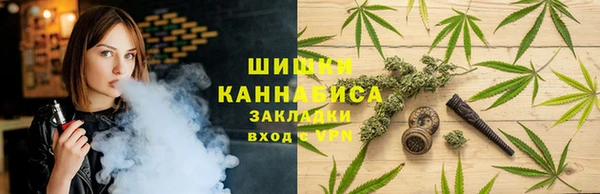 стафф Аркадак