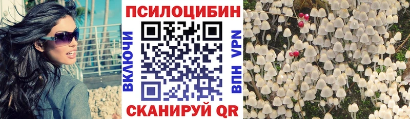 Псилоцибиновые грибы GOLDEN TEACHER  Новый Оскол 